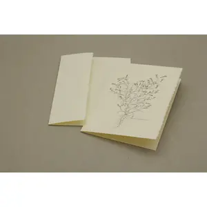 Botanical Brickellia Venosa Card Pack of 5