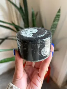 Ammonite Fossil Jar with Lid