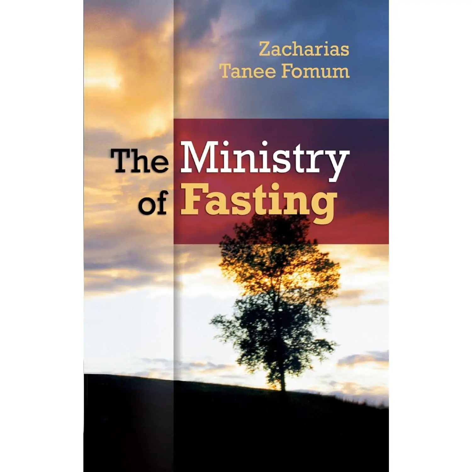 The Ministry of Fasting (Prayer Power Series)