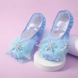 Adorable Princess Dance Shoes for Youngsters, Soft Sole Ballet Shoes for Girls, Chinese Dance Training Cat Claw Shoes