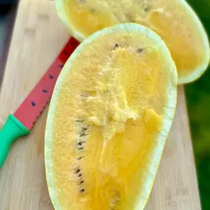 Gold in Gold Watermelon seeds