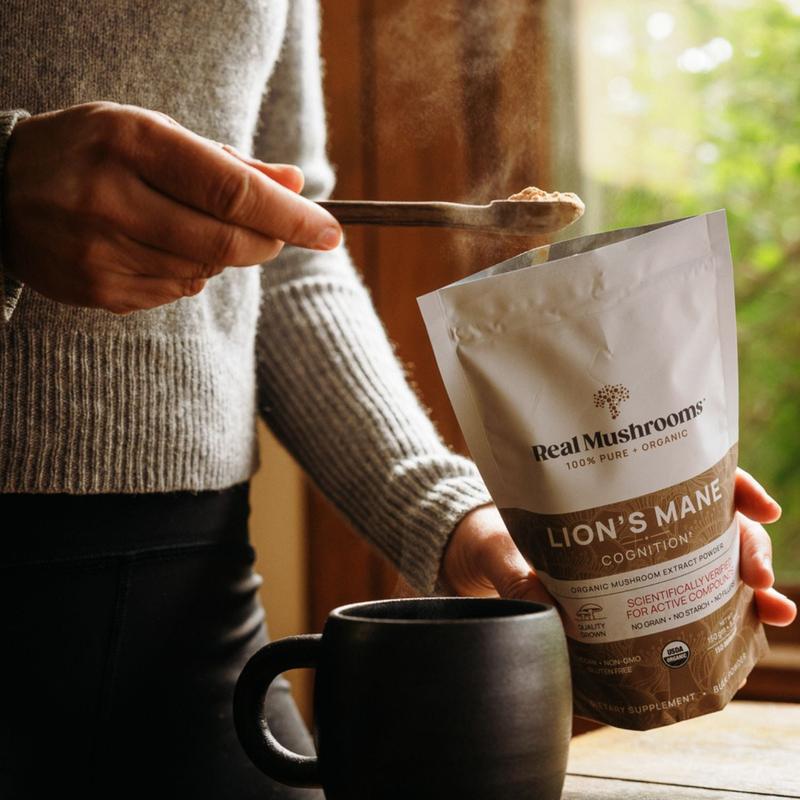 Lion's Mane Focus Bundle