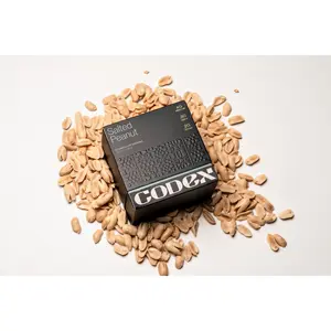 CODEX Salted Peanut Chocolate Squares - 12 Individually Wrapped Organic Dark Chocolate Snacks with Roasted Peanuts & Flakey Sea Salt