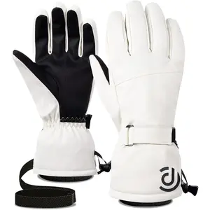 Winter Gloves Men Women Warm Waterproof Ski Gloves 5 Layer Touch Screen Snow Gloves for Cold Weather