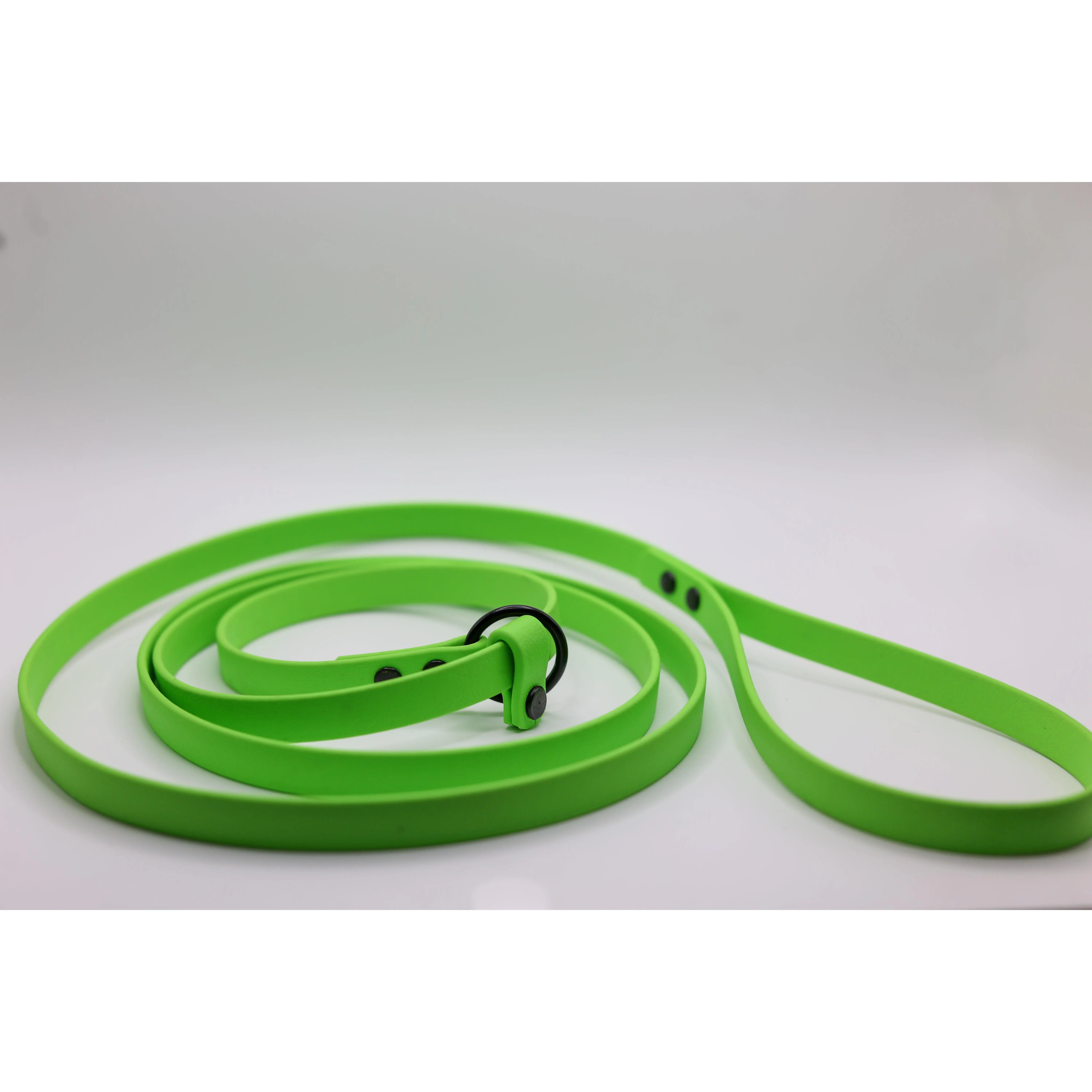 3/8" Biothane® Slip Leash | Lightweight Training Lead