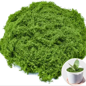 Realistic Fake Moss Craft Decorative Artificial Moss Table Centerpiece Wedding Party Decoration Fairy Garden Floral Arrangement Artificial Flower Plant