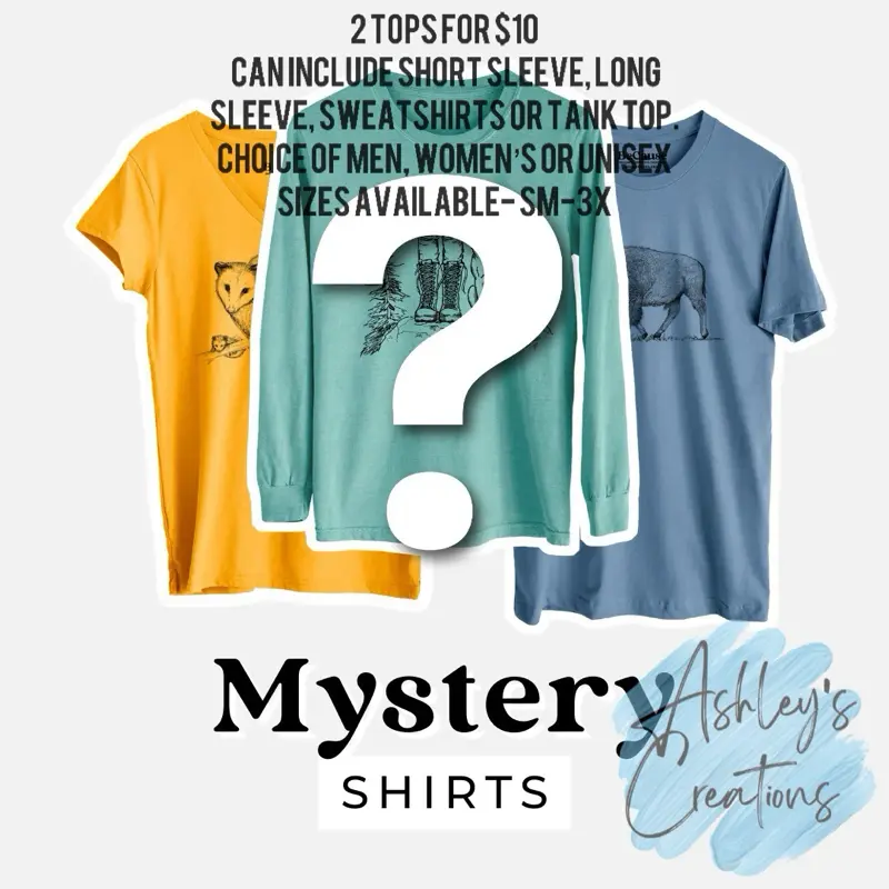 Mystery Shirt Bag 2 mystery shirts for $10