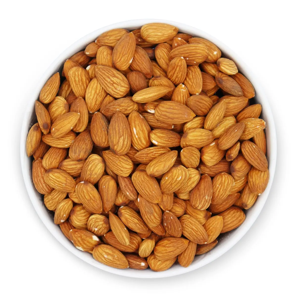 L'Orenta Gourmet Raw Almonds No Salt 1 Pound Resealable Bag Nut Snack