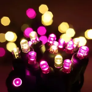 50 5mm ColorSplash Pink Taffy Warm White, Pink LED Christmas Lights, 6" Spacing