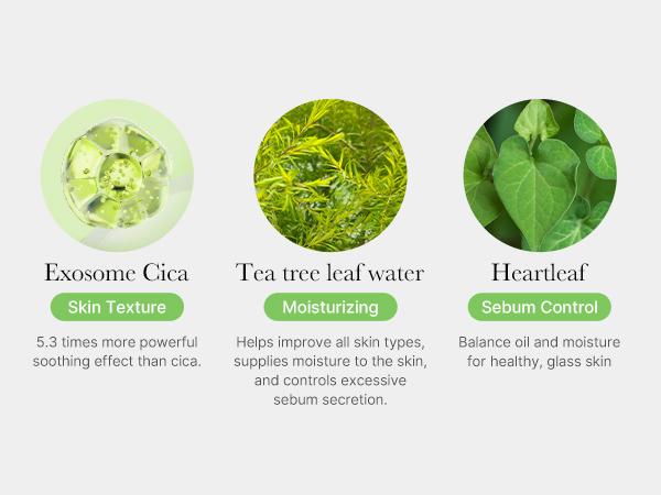 [Official Shop] Exosome Cica Toner | Daily Soothing Toner With Exosome Cica, Heartleaf, Tea Tree | Korean Skin Care for Stressed Skin