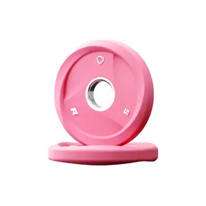RITFIT AURASPIN Weight Plates - 5LB Weight Training Gym Accessories, Home Gym Equipment