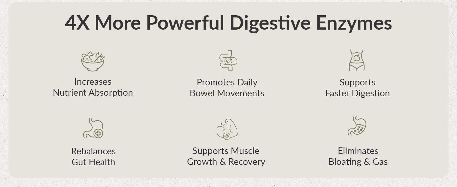 BIOptimizers MassZymes - Complete Digestive Enzyme Supplement for Gut Health - Bloating Relief for Men & Women - Digestive Enzymes Capsule