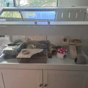 review image 2