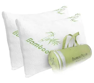 Dr Pillow Bamboo Memory Foam Pillows Set of 2