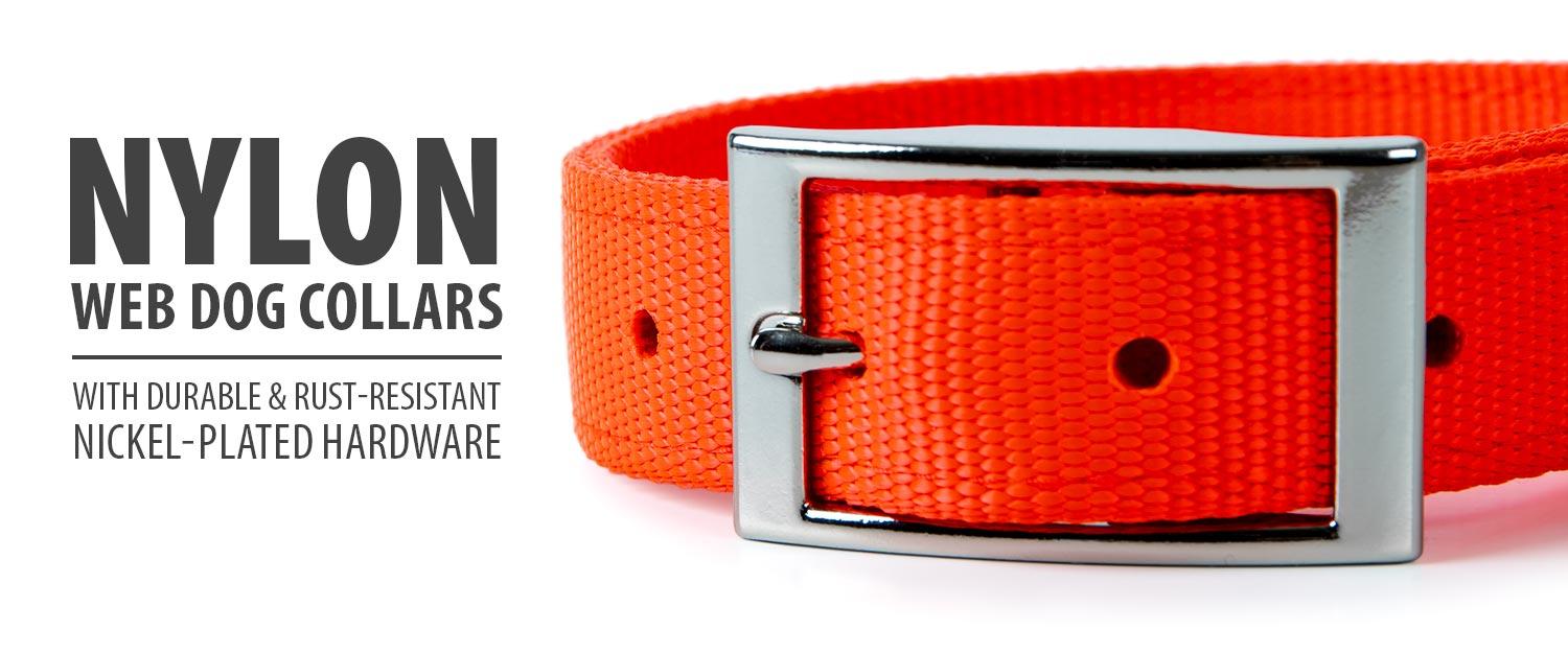 Jeffers Solid Web Nylon Dog Collar