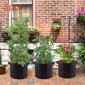 2026 New 3-Piece Large Capacity Tomato Planting Bags, Potato Planting Bag, Garden Style Design, 5-Gallon Non-Woven Planter with Handle, Indoor Outdoor Use