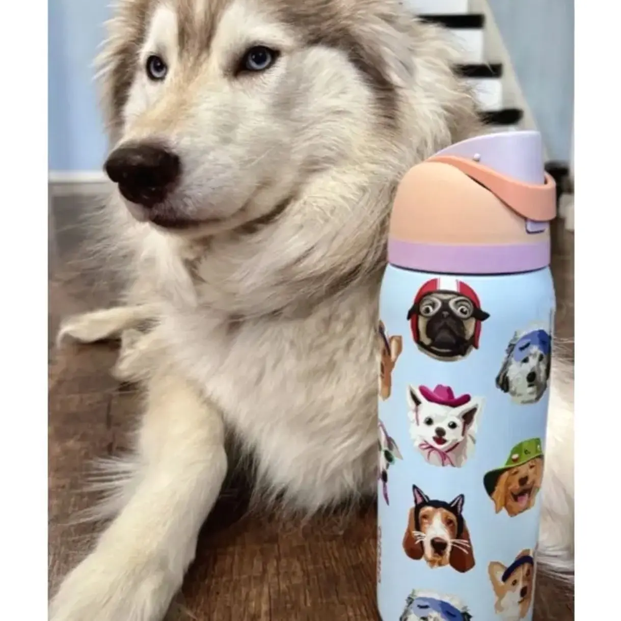 Owala UO Exclusive Dog Collage FreeSip 32 oz Water Bottle
