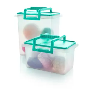 Large and Small Carry-all Containers (Mint Ice Cream)