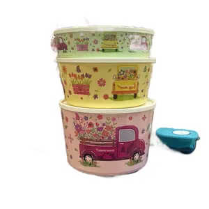 Tupperware 3 Piece Set Containers Truck Design with Floral Accents and Secure Lids for Food Storage