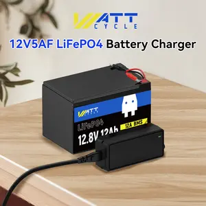 14.6V 5A Plastic Shell LiFePO4 Battery Charger