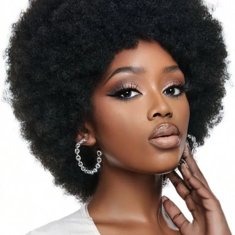 1 Piece 10 Inch Afro Kinkys Wigs, Short Kinky Curly Wigs without Bangs for Women, Fluffy and Bouncy Mixed Afro Curly Wigs for Daily Party Use, Synthetic Wigs, Synthetic Curly Hair, Natural Looking Wig, Deep Curly Wig