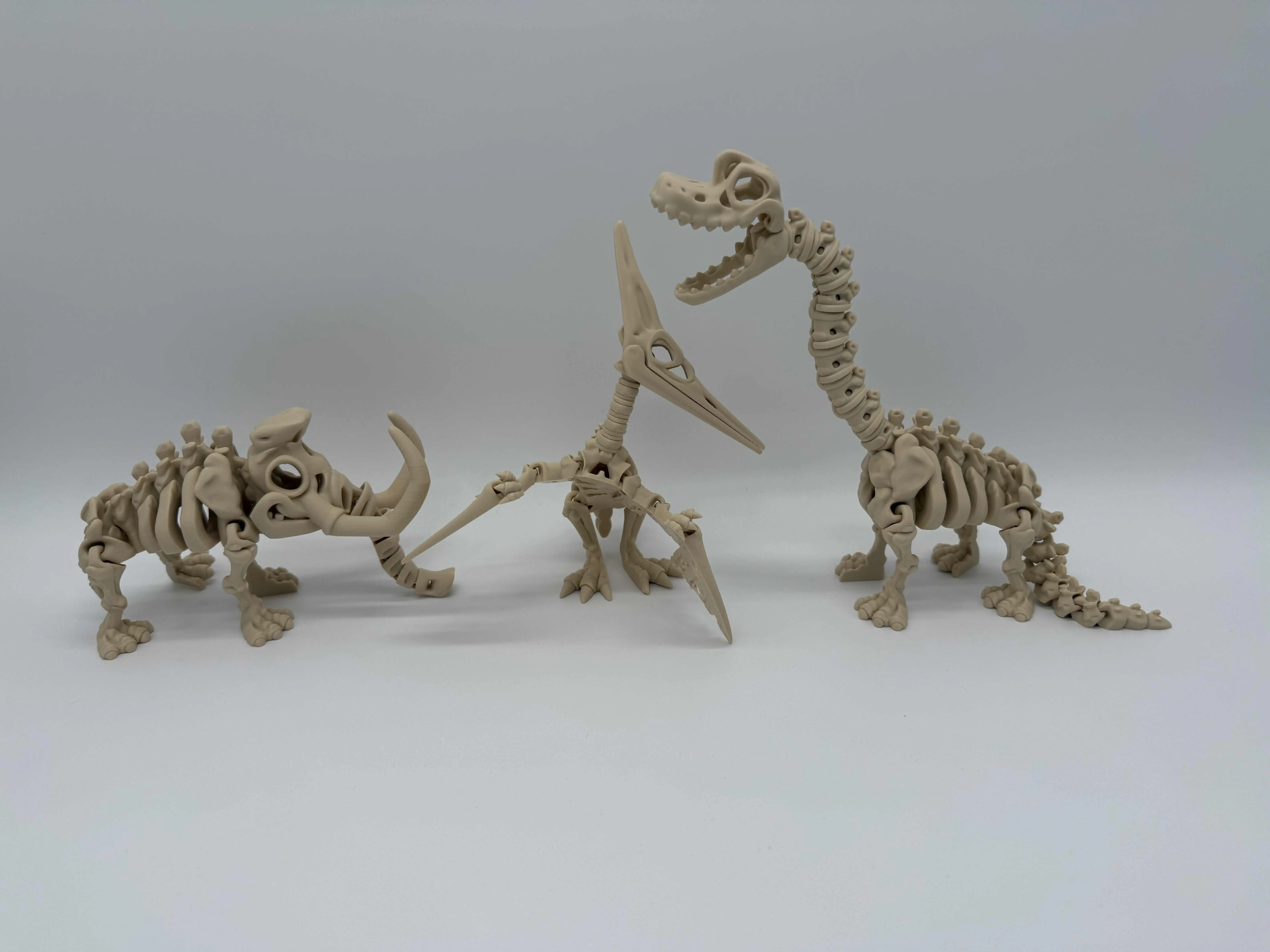 Dinosaur Skeletons(non dinosaurs) Dinosaur Skeletons(non dinosaurs)