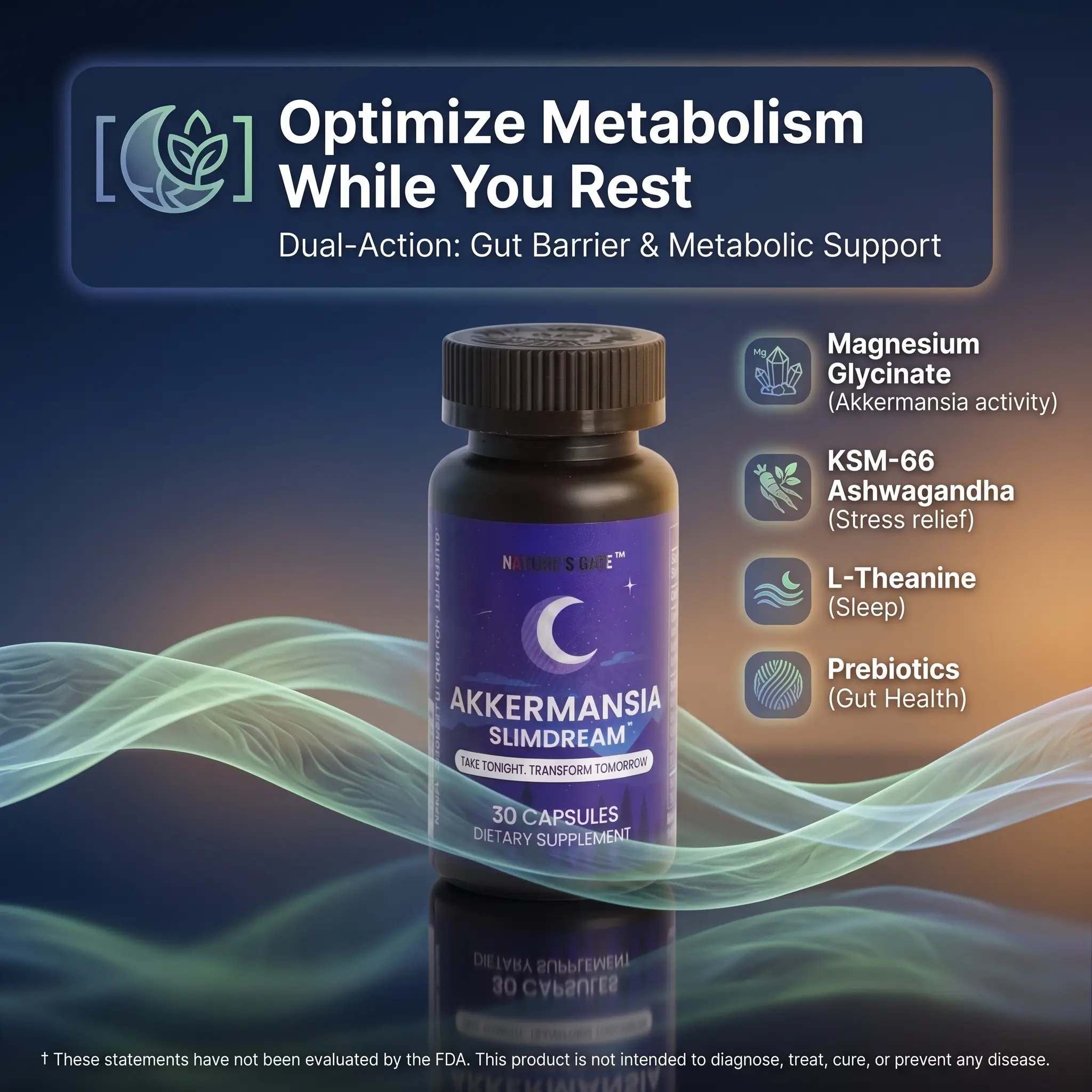AKKERMANSIA SLIMDREAM – Supports digestive Gut Barrier Health & Metabolic Wellness with KSM-66 Ashwagandha + L-Theanine + Magnesium | 30 Capsules（15 servings)）