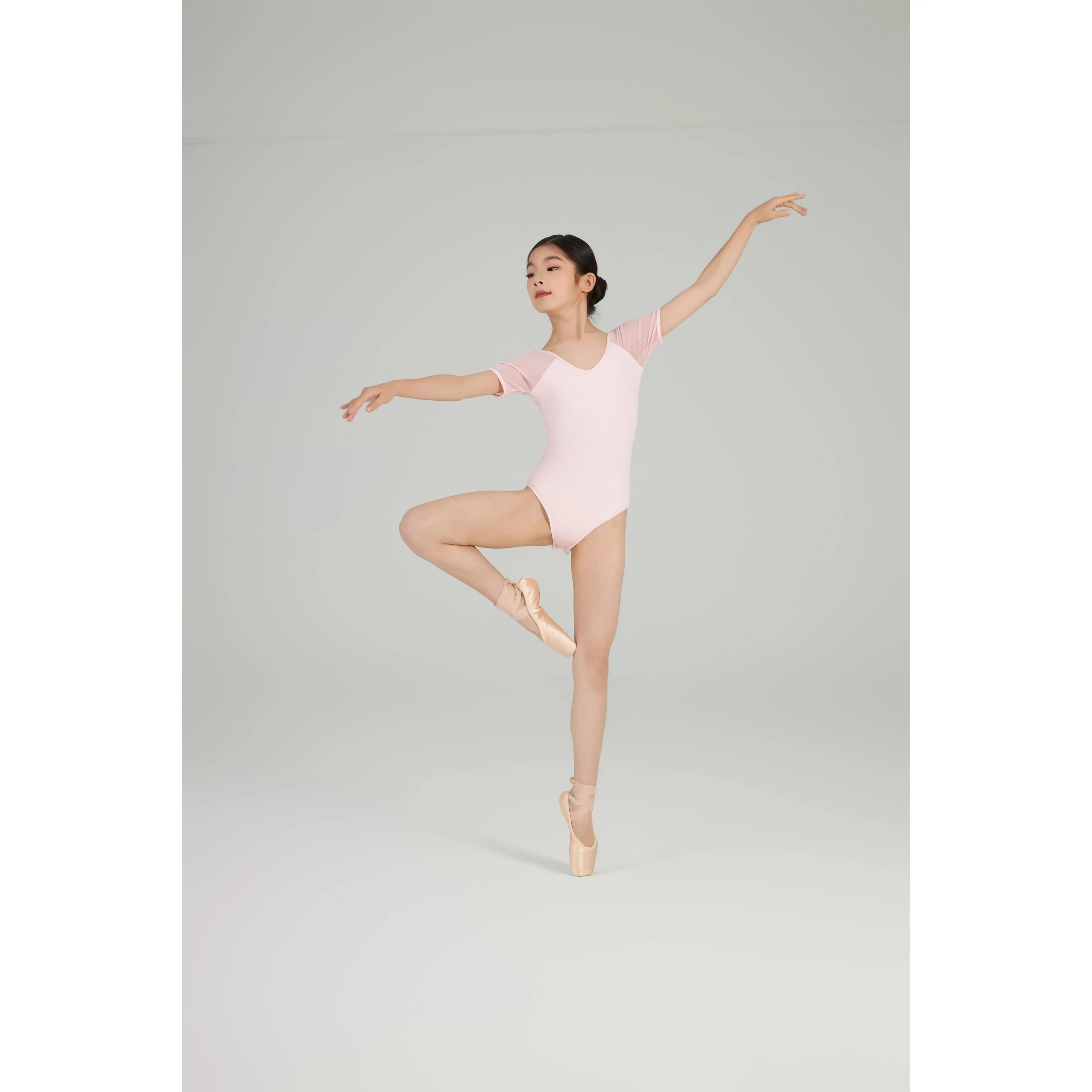 Mesh Paneling Dance Leotard （Subtle Charm 23n0004）Shell Pink