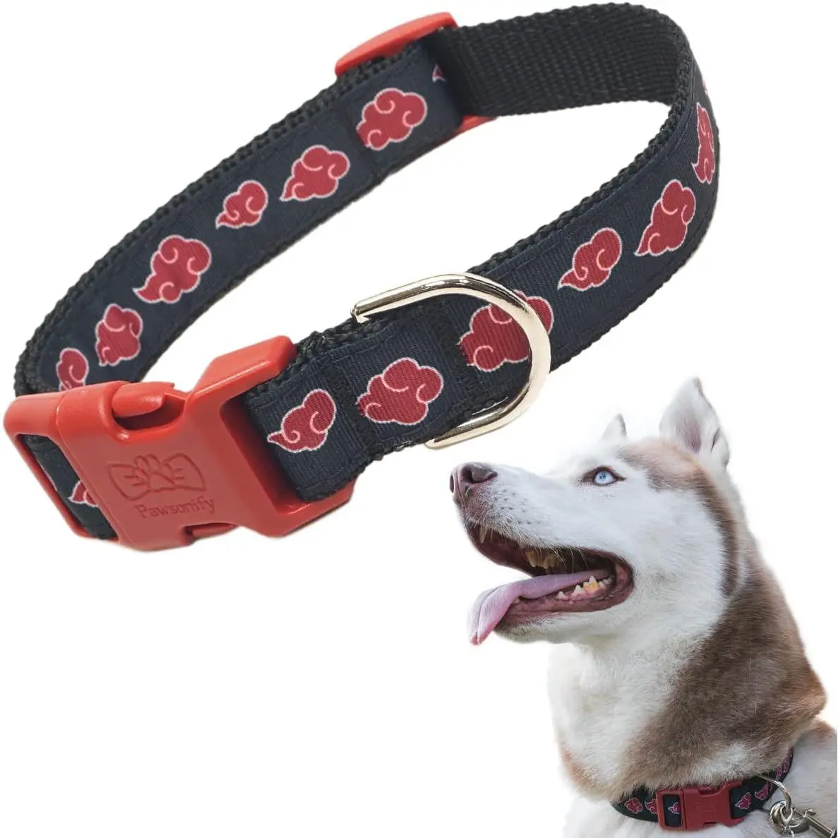 Medium Dog (13" - 20")