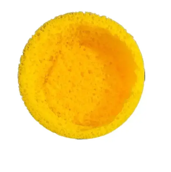 Fun Cheese Boat Sponge Fun Cheese Boat Sponge
