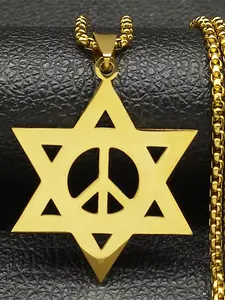 Jewish Hexagram Hebrew Peace Symbol Necklace for Women Men Stainless Steel Megan David Star Israel Amulet Chain