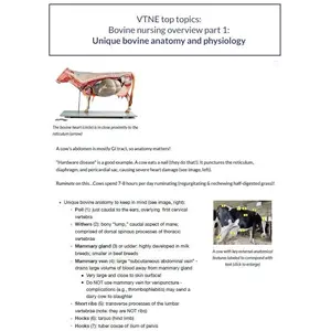 Comprehensive VTNE Notes - Concise VTNE Study Notes for Exam - 80+ Pages with images - Vet Tech Study Notes for VTNE