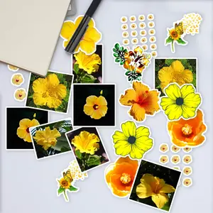 Stickers Pack 20 Pcs Single Skateboard Car Yellow Luggage Vinyl Hibiscus Colorful Bottle Waterproof Laptop Aesthetic Bumper Guitar Water Bike