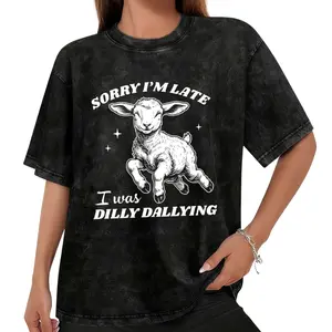 Funny Meme Graphic Tee with Baby Lamb – Washed Sorry I'm Late T-Shirt for Women