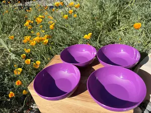Platos hondos 700 ml Morado/Purple