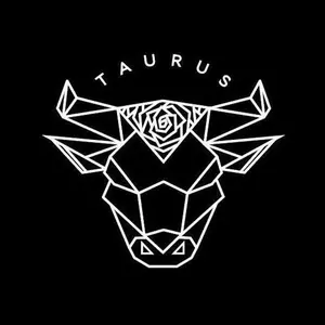 TAURUS US STYLE