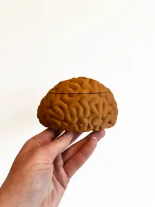 Brain Trinket Box: 3D Printed Anatomy Keepsake Storage