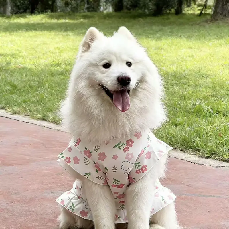 fitted lace wedding dress Dogs dress – petitpilou main image 1