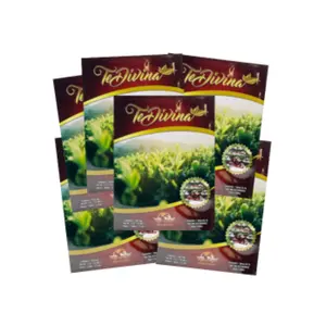 Vida Divina Tea Divina - Organic 6-Pack with Reishi, 50ml Each, No Caffeine, Herbal Ingredients