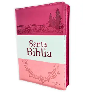 Biblia Letra Grande con Cierre RV1960, manual imit. piel, rosa con índice