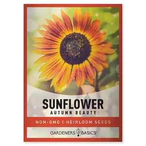 Autumn Beauty Sunflower Seeds