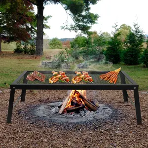 CNCEST Portable Folding Grill Rack for Camping 44lb Capacity Iron Campfire Cooking Stand 21.7x11.8in Compact BBQ Grill Grate for Outdoor Picnics