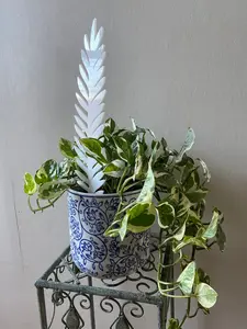 Plant Support Trellis