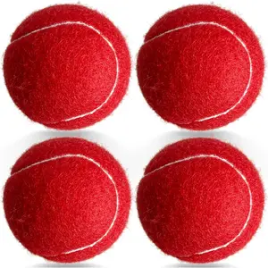 4 Pack Long Lasting Tennis Balls Practice Training Balls for Tennis Beginners, Ideal for Dog Fetch Toys