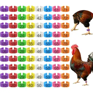 80 Pcs 16mm Colorful Chicken Leg Bands 01-80 Numbered for Duck Poultry Foot Tags Durable Weather-resistant Laser Etched Numbers Easy Installation