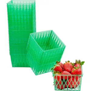 Pint Size Plastic Berry Baskets (48-Pack), 4-Inch Berry Boxes w/Open-Weave , Ideal for Summer Picking & Crafts! (48 Boxes)