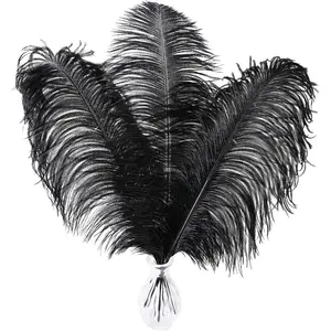 Black Ostrich Feathers Bulk - 16-18 inch 10pcs Feathers for Vase,Wedding Party Centerpieces and Home Decorations (Black)