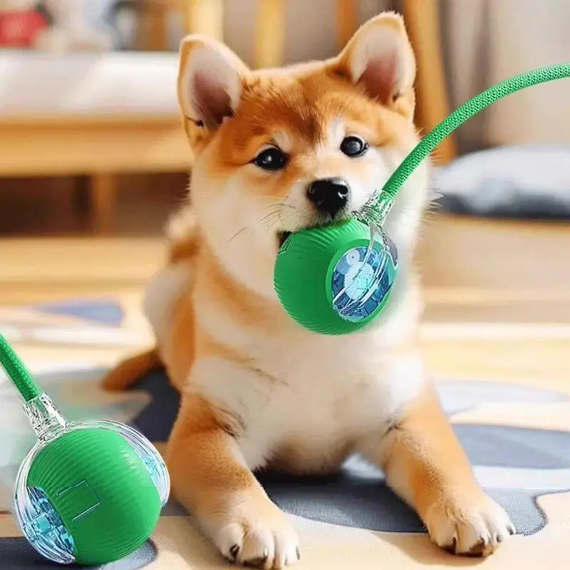 Automatic Pet Toy Ball with Rope, 1 Count Interactive Pet Teaser Toy, Rechargeable Pet Rolling Ball for Dogs & Cats, Pet Supplies