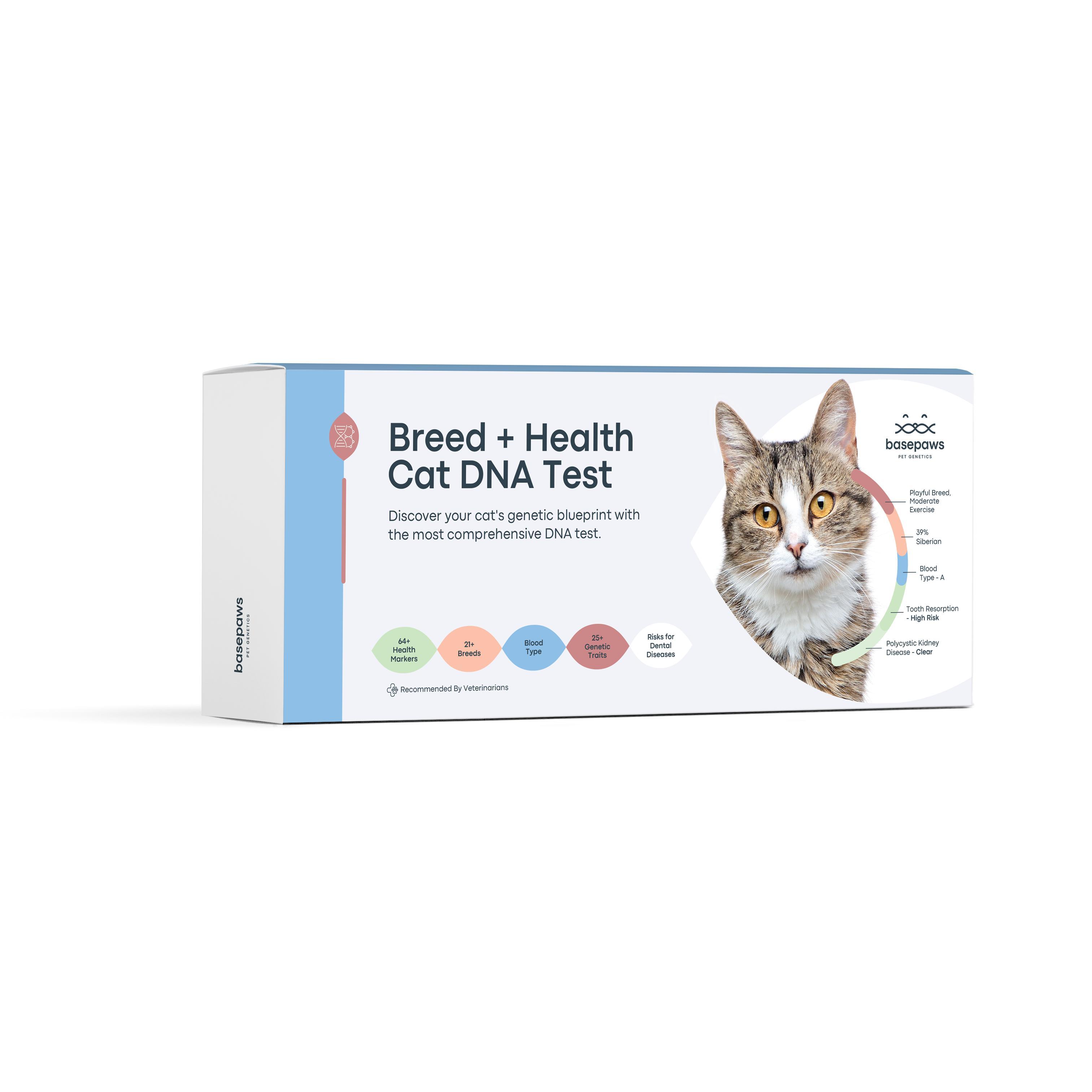 Basepaws Cat DNA Test, Breed & Health Reports, Wildcat Index, 39 Health Markers, 17 Genetic Diseases - 1 Pack Basepaws Cat DNA Test, Breed & Health Reports, Wildcat Index, 39 Health Markers, 17 Genetic Diseases - 1 Pack