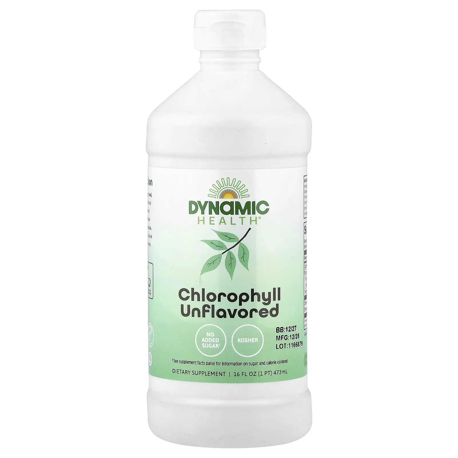 Dynamic Health Chlorophyll, Unflavored, 16 fl oz (473 ml)